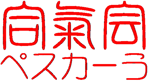 Aikikaipescara5